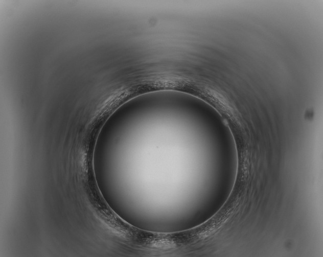 X0000095960258200801181452