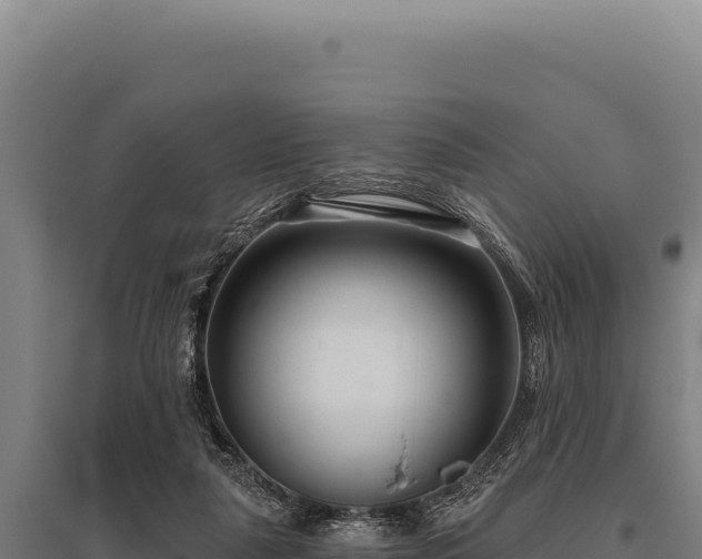 X0000095960259200801181452