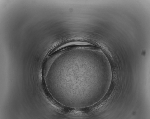 X0000095960260200801181452