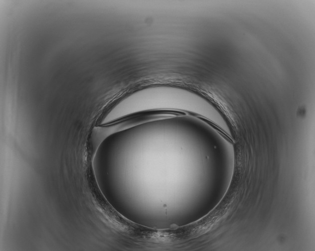 X0000095960261200801181452