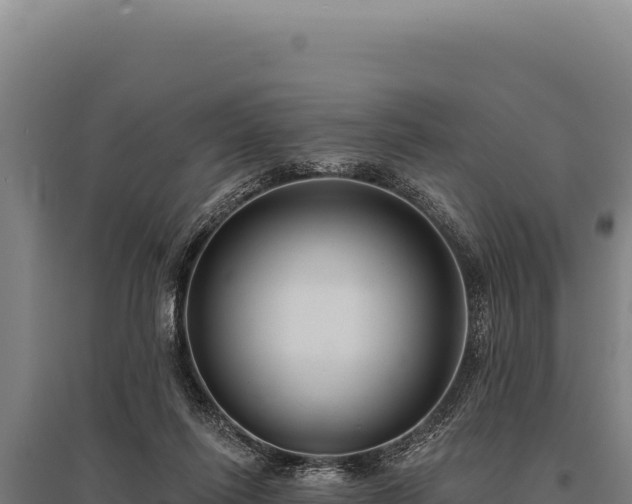 X0000095960262200801181452