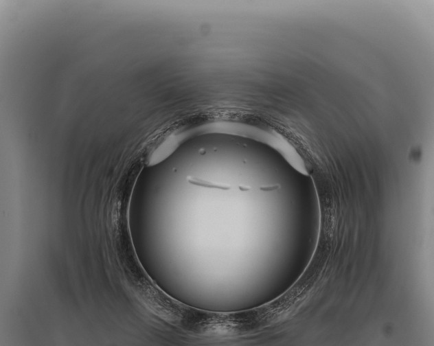 X0000095960263200801181452