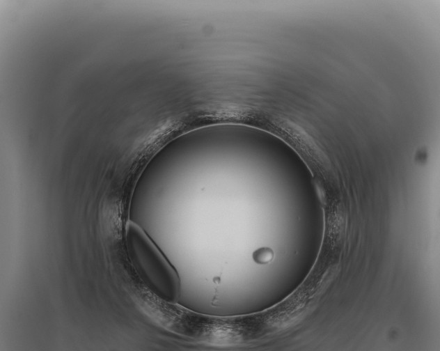 X0000095960264200801181452