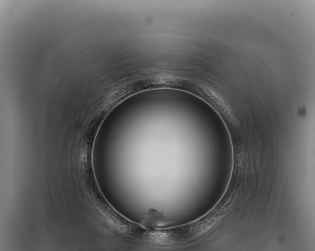 X0000095960265200801181452