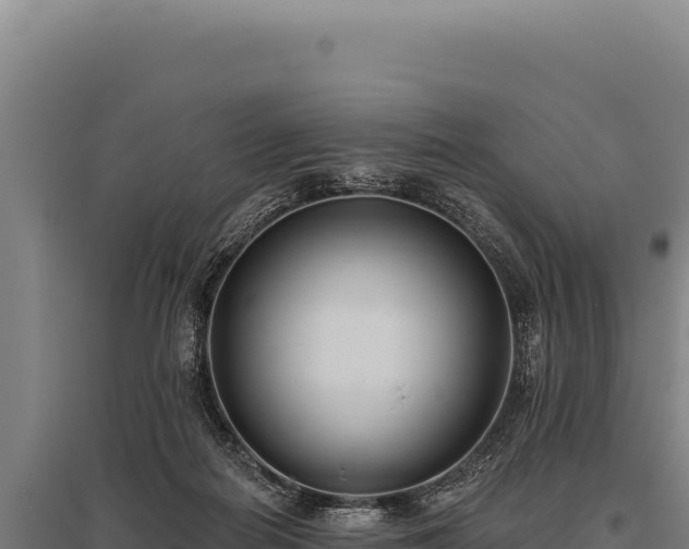 X0000095960266200801181452