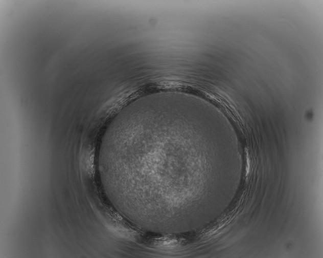 X0000095960267200801181452