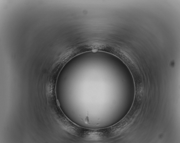 X0000095960268200801181452