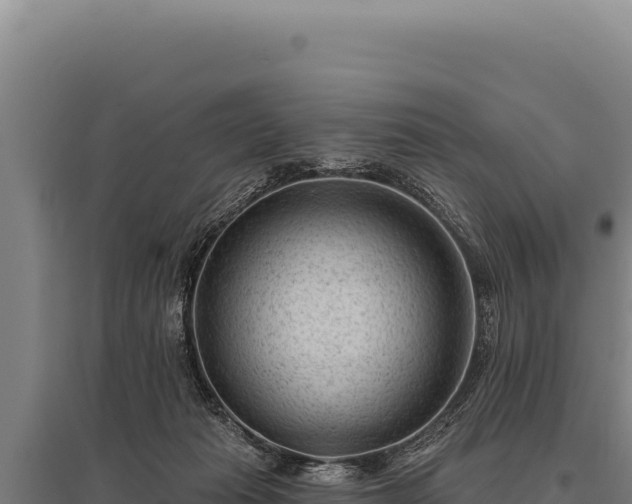 X0000095960269200801181452