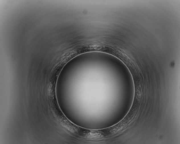 X0000095960270200801181452