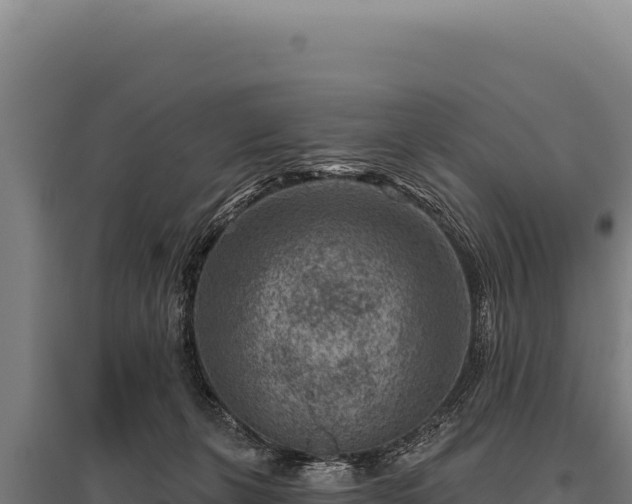 X0000095960271200801181452