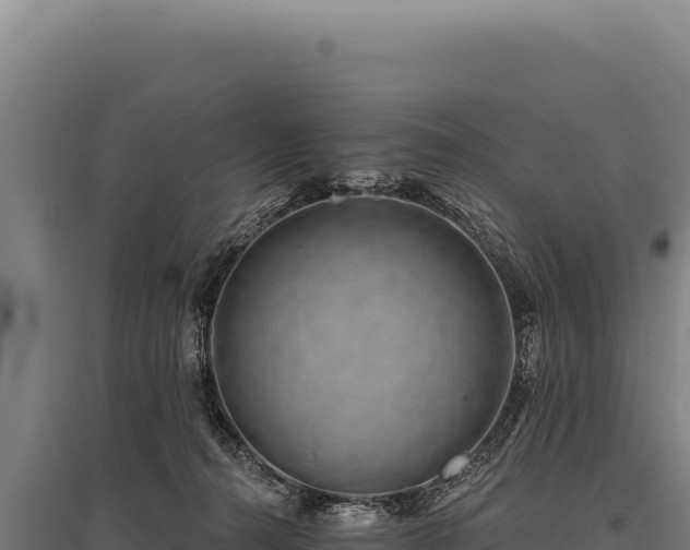 X0000095960272200801181452