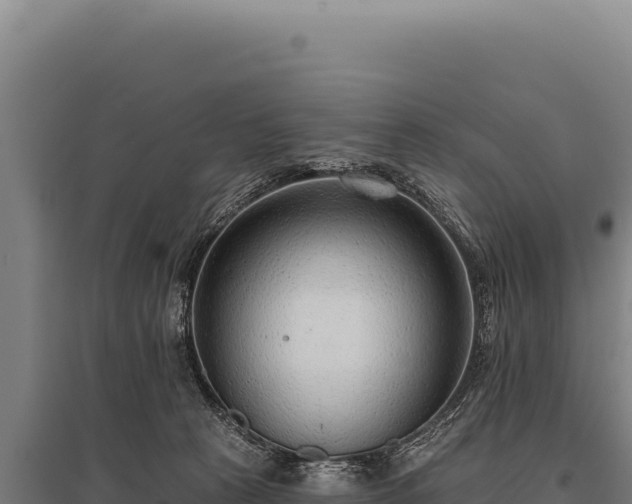 X0000095960273200801181452