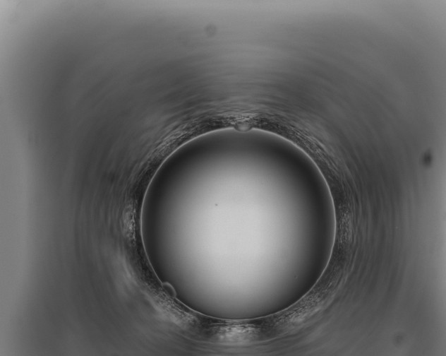 X0000095960274200801181452