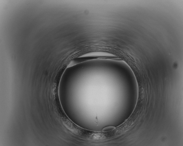 X0000095960275200801181452