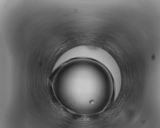 X0000095960276200801181452