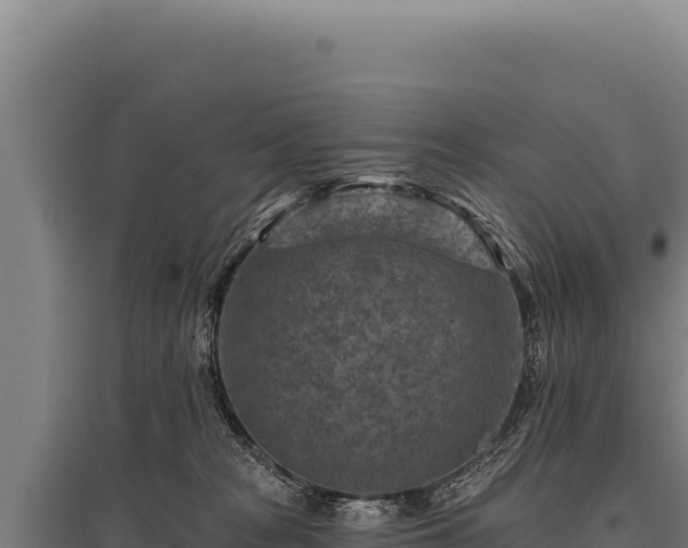 X0000095960277200801181452