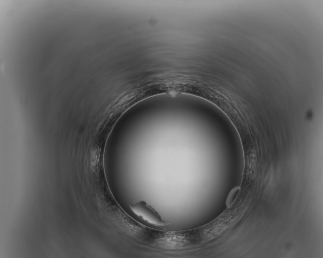 X0000095960278200801181452