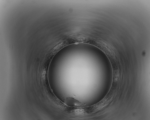 X0000095960279200801181452