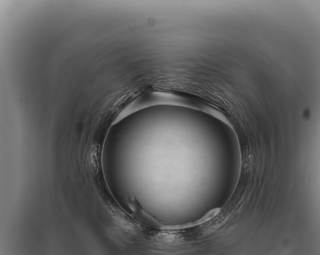 X0000095960280200801181452