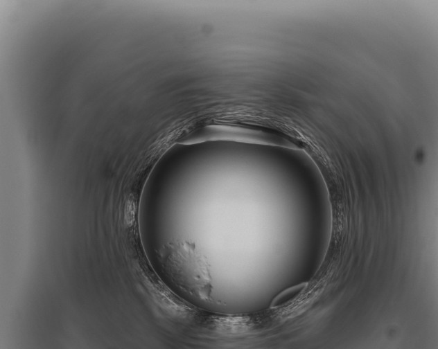 X0000095960281200801181452