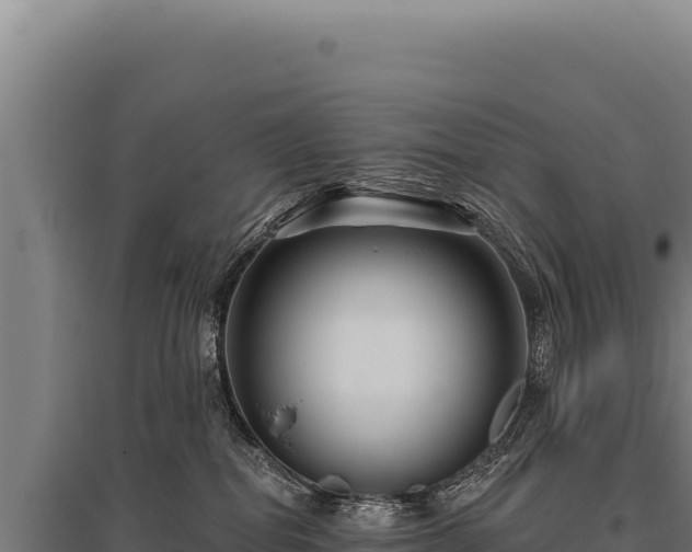 X0000095960282200801181452