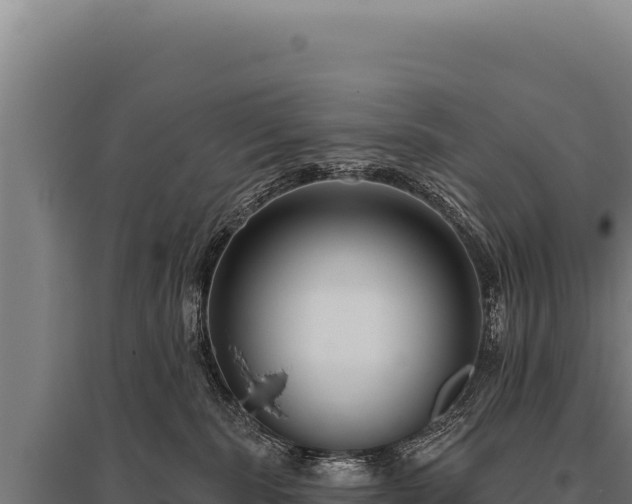 X0000095960283200801181452