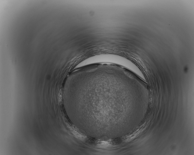 X0000095960285200801181452