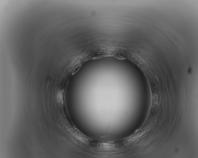 X0000095960286200801181452