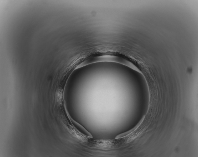 X0000095960288200801181452