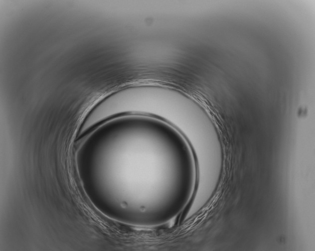 X0000095960289200801181451