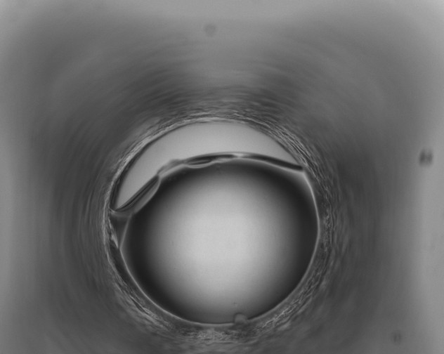 X0000095960290200801181451