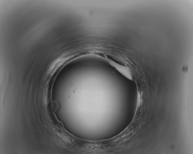 X0000095960291200801181451