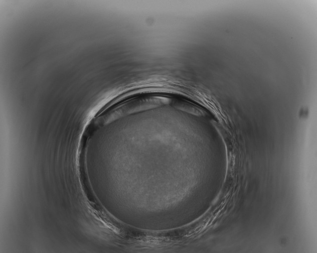 X0000095960292200801181451