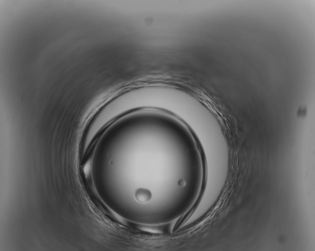 X0000095960293200801181451