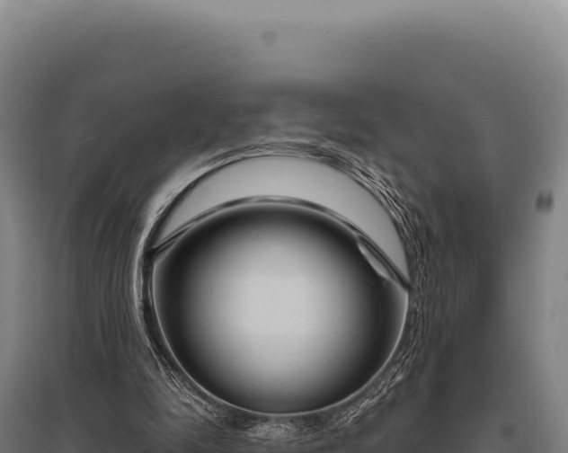 X0000095960294200801181451