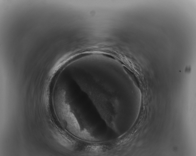 X0000095960295200801181451