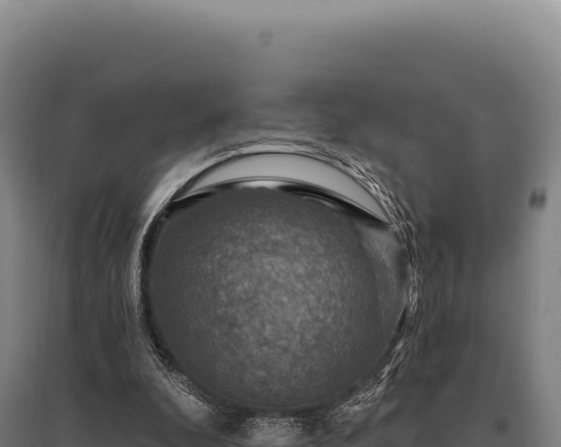 X0000095960296200801181451