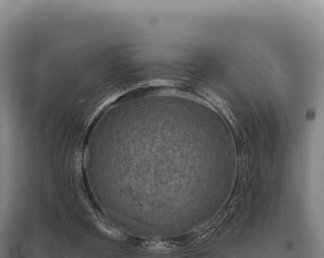 X0000095960297200801181451