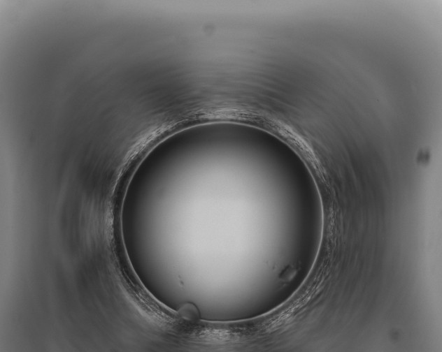 X0000095960298200801181451