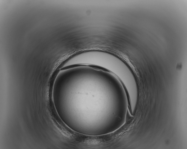 X0000095960299200801181451