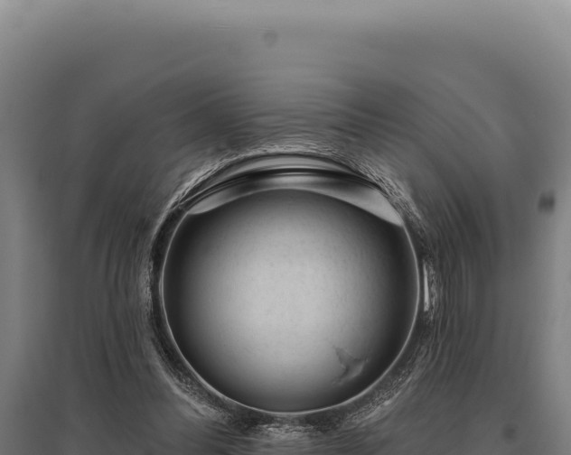 X0000095960300200801181451