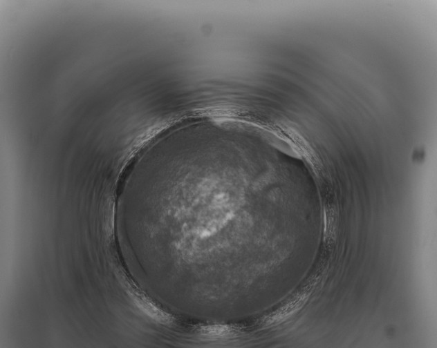 X0000095960301200801181451