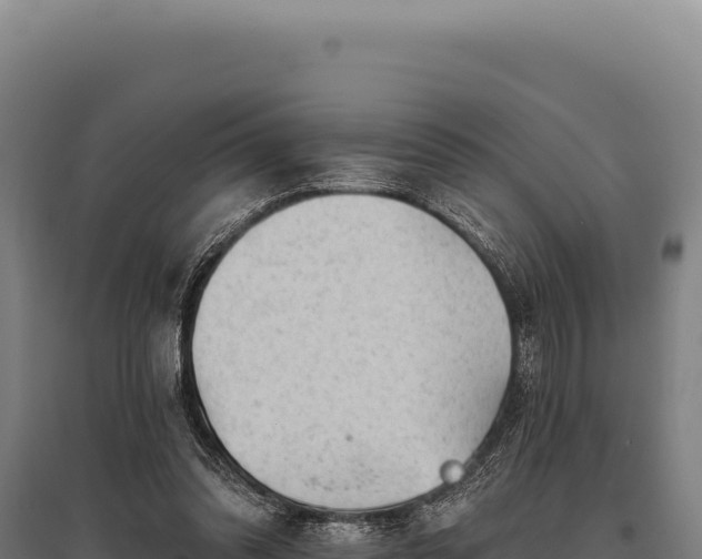 X0000095960302200801181451