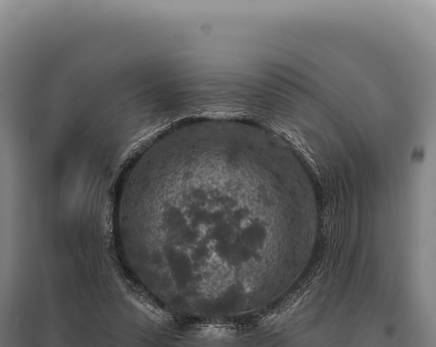 X0000095960303200801181451