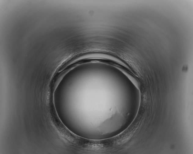 X0000095960304200801181451