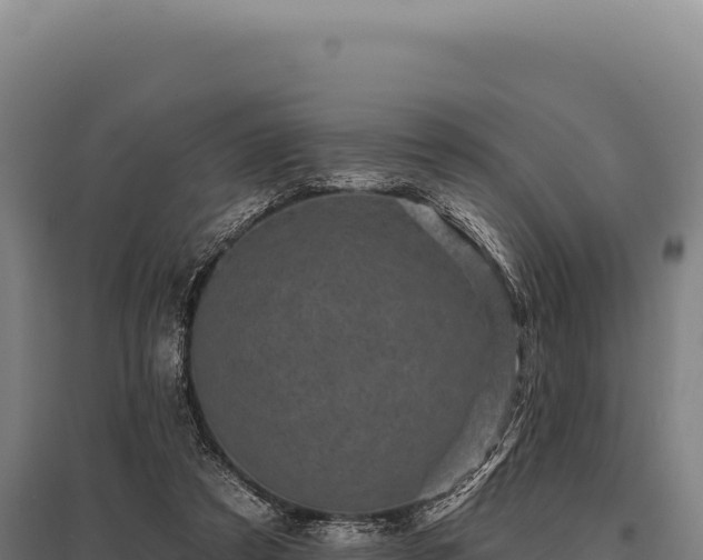 X0000095960305200801181451