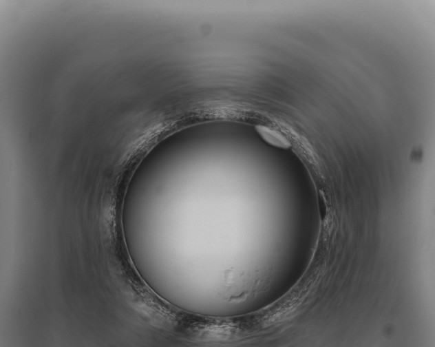 X0000095960306200801181451