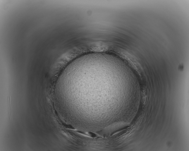 X0000095960307200801181451