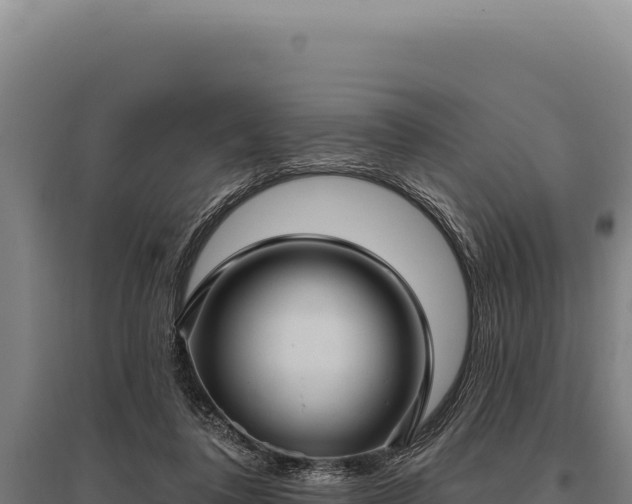 X0000095960308200801181451