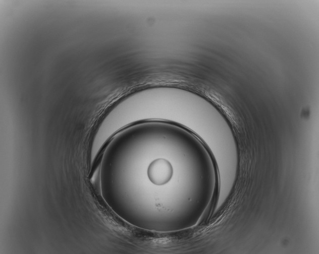 X0000095960309200801181451